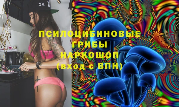 2c-b Заволжье