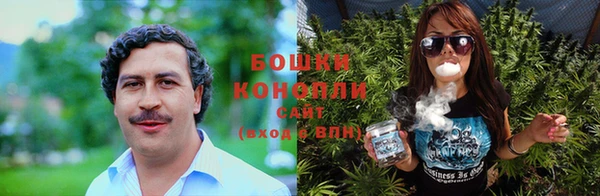 a pvp Бородино