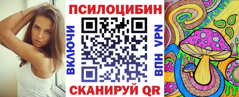 где найти   Буй  Галлюциногенные грибы прущие грибы 